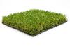 EcoGreen45